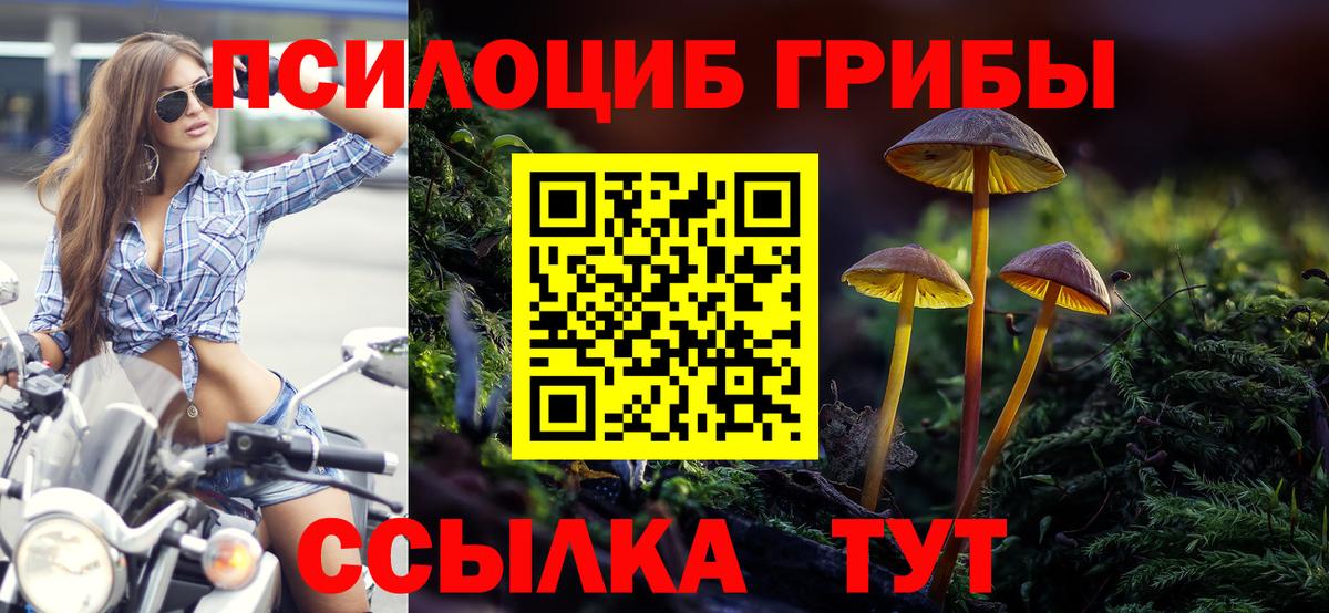 Псилоцибиновые грибы Cubensis  Псилоцибиновые грибы GOLDEN TEACHER  Павловский Посад  Вход с VPN 